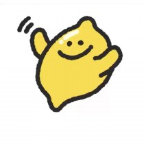 Lemon iPad タブレット ラップトップ バッグ インナースリーブ収納 常連のお客様からご注文いただいております