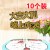 双层吃鸡 10对装