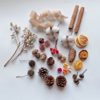 模擬クリスマス装飾天然乾燥松ぼっくりシナモン DIY 素材写真撮影小道具レイアウトコットンアートガーランドアクセサリー