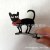 黑猫