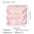 纸巾20pcs