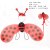 瓢虫三件套