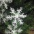 15CM/3片毛丝雪花6克(一包3片）