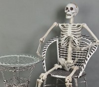 ホラー頭蓋骨と骨お化け屋敷秘密部屋会場レイアウトプラスチック小道具ハロウィンスケルトンスケルトン