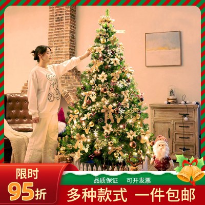 クリスマスツリー クリスマス装飾 ショッピングモール オフィス ホーム ハイエンド暗号化発光セット シーン装飾装飾品