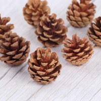 4 センチメートルオリジナルカラー松ぼっくり 6 パッククリスマス装飾用品クリスマスツリーペンダントナチュラル松ぼっくりシーン装飾