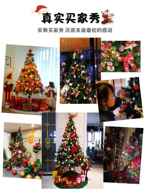 クリスマスツリーパッ ケージ 家庭用暗号化発光大型装飾品2023新しいハイエンドクリスマス装飾