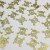 金色鬼头（100pcs）