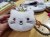 白色皇冠猫咪