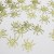 金色蜘蛛（100pcs）