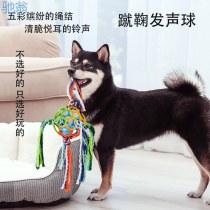 犬用多機能インタラクティブ Cuju ボール、ペットのセルフプレジャーおよび噛みつき防止ボール、歯ぎしりおよび噛みつきロープ、噛みつき防止犬トレーニングツール