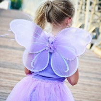 蝶の羽子供パーティーおもちゃ仮面舞踏会折りたたみイースター妖精の羽の小道具卸売