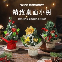 クリスマスツリー家庭用小型デスクトップ装飾品クリスマス装飾クリスマスギフトミニクリスマスツリー卸売テーブル設定 20