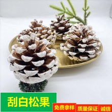 クリスマスツリーの装飾 染め白松ぼっくり ドライフラワー DIY クリエイティブ素材 シダーコーン、ピッチパイン アメリカンパイン 染め白松ぼっくり