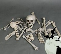 ハロウィン スケルトン スケルトン 映画とテレビ スケルトン バッグ 秘密の部屋 脱出装飾品 お化け屋敷 ホラー プラスチック小道具 シミュレーション