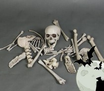 ハロウィン スケルトン スケルトン 映画とテレビ スケルトン バッグ 秘密の部屋 脱出装飾品 お化け屋敷 ホラー プラスチック小道具 シミュレーション