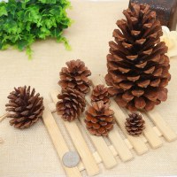 1-15 センチメートル松ぼっくりクリスマス装飾ペンダントクリエイティブ装飾品撮影小道具ドライフラワー松ぼっくり手作り DIY 材料