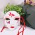 红花美人4面具+礼品盒+礼品卡+拉菲草