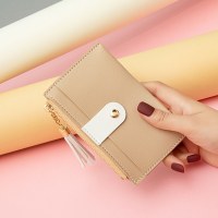 女性用カードホルダー韓国スタイルの小さな新鮮なタッセル小銭入れ、複数のカードスロットと対照的な色の女性用ミニ財布
