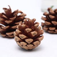 熱い収穫された松ぼっくり DIY 工芸品クリスマス ツリー装飾材料装飾装飾品ぶら下げ写真撮影小道具