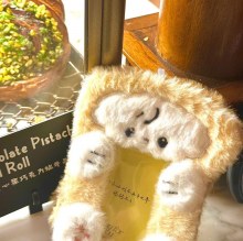 かわいいぬいぐるみカード ホルダー、高価値動物シリーズ カード ホルダー、3 インチ ポラロイド アイドル カード ホルダー、漫画 ID ホルダー