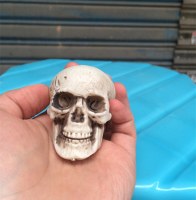 ハロウィンホラースカル小道具ミニ5センチメートルプラスチックスカルバー秘密の部屋お化け屋敷装飾小道具