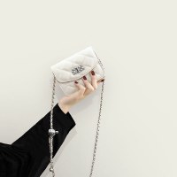 女性のための夏の小さなバッグ 2024 新しいニッチファッションチェーンミニクロスボディバッグ多用途人気のチェーンバッグ