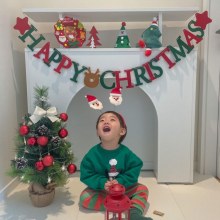 インスタイルの新しいクリスマス文字フェルト装飾プル花新年装飾用品雰囲気小道具プルフラグ
