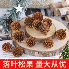 天然小さな松の花ミニカラマツ小さな松ぼっくりクリスマス装飾籐リース手作り DIY 環境創造材料