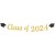 黑色博士帽+金色class of 2024拉旗