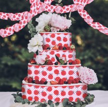 2024 新しい赤と黒の水玉てんとう虫リボン春と夏のクリエイティブてんとう虫リボン包装リボン雰囲気装飾用品