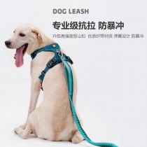 マルチカラー犬用リード、大型犬用ショルダーバッグ、犬用散歩、ハンズフリー、多機能ランニングペット用リード、Pロープ、Pチェーン