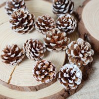 スノーフレーク松ぼっくり クリスマスツリー飾り 白松ぼっくり クリスマスアレンジメント ドライガーランド素材 松の花 松ぼっくり