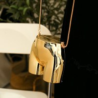 Wanyan バッグ レディース 灰皿 クロスボディバッグ アクリル ミラー 電気メッキ ホーボーバッグ
