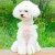 ベージュ
