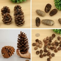 1-15 センチメートルナチュラル松ぼっくりクリスマス装飾ペンダントクリエイティブ装飾写真小道具ドライフラワー松ぼっくり卸売