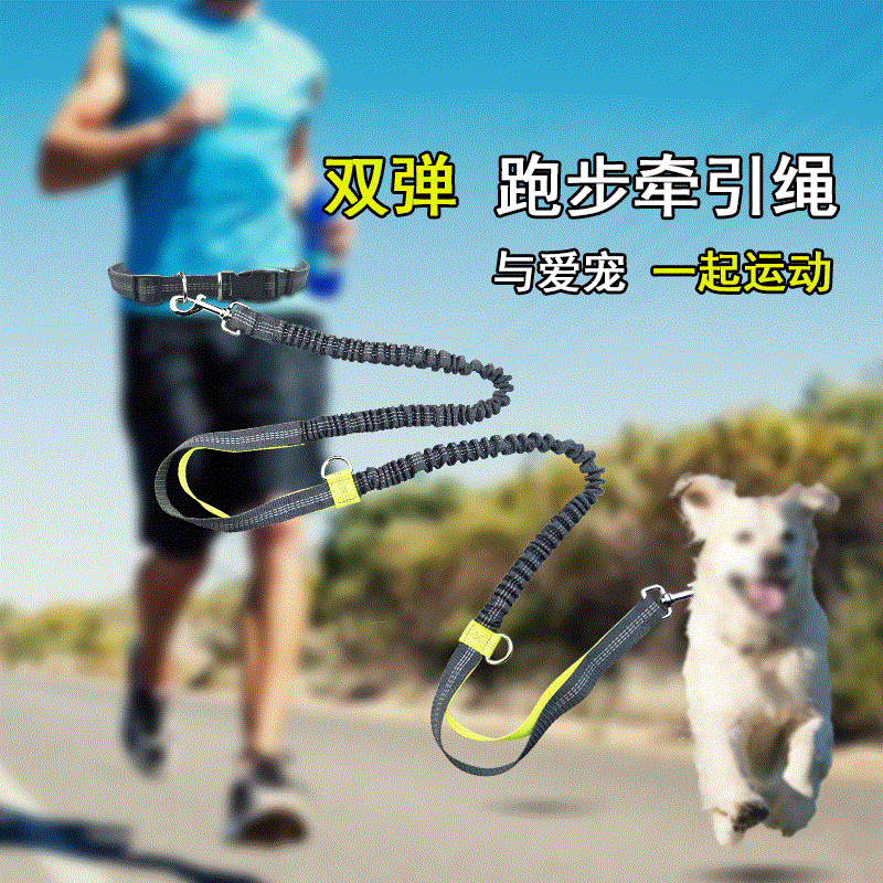 ペット用品多機能ランニング反射巾着犬のリード二重弾性犬のリード